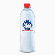 Cool Ridge Spring Water 600ml